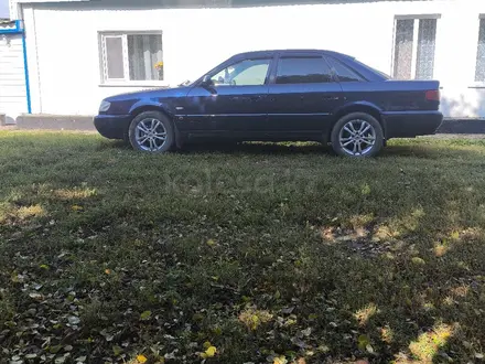 Audi A6 1995 года за 3 250 000 тг. в Балкашино