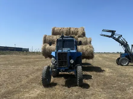 МТЗ (BELARUS) 1989 года за 1 300 000 тг. в Жетиген – фото 11