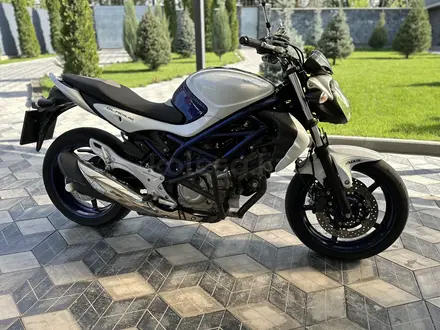 Suzuki  SFV 400 Gladius 2011 года за 1 990 000 тг. в Алматы – фото 4