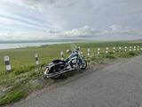 Harley-Davidson  Road King 2001 годаүшін6 000 000 тг. в Тараз – фото 2