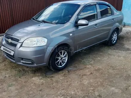 Chevrolet Aveo 2006 года за 2 000 000 тг. в Уральск