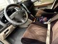 Lexus RX 330 2004 года за 6 500 000 тг. в Тараз – фото 5