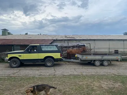 Ford Bronco 1994 года за 10 000 000 тг. в Алматы – фото 15