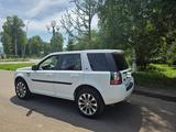 Land Rover Freelander 2013 годаүшін7 000 000 тг. в Астана – фото 4