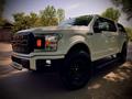 Ford F-Series 2019 года за 37 500 000 тг. в Алматы – фото 11
