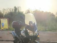 Suzuki  V-Strom DL 650 2010 годаүшін3 500 000 тг. в Алматы