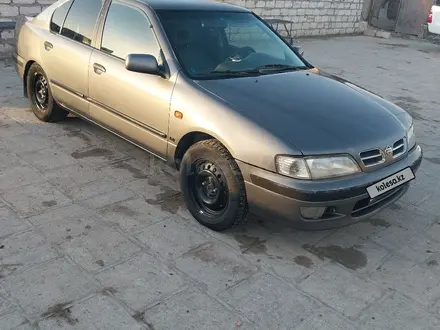 Nissan Primera 1996 года за 1 100 000 тг. в Жанаозен – фото 2