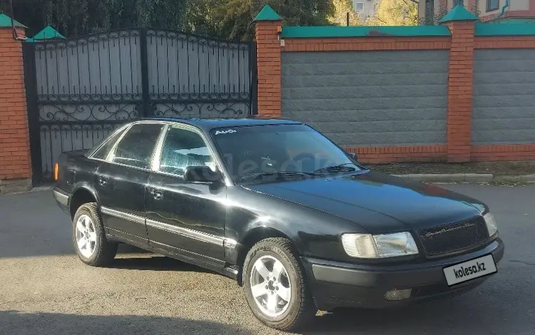 Audi 100 1991 годаүшін2 000 000 тг. в Петропавловск