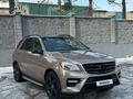 Mercedes-Benz ML 500 2013 года за 18 500 000 тг. в Алматы – фото 4