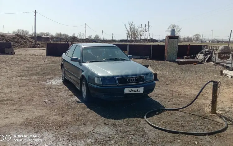 Audi 100 1993 года за 2 200 000 тг. в Темиртау