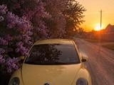 Volkswagen Beetle 2003 года за 3 700 000 тг. в Тараз – фото 2