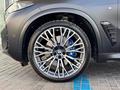 BMW X5 XDrive 40i 2025 года за 57 500 000 тг. в Алматы – фото 10