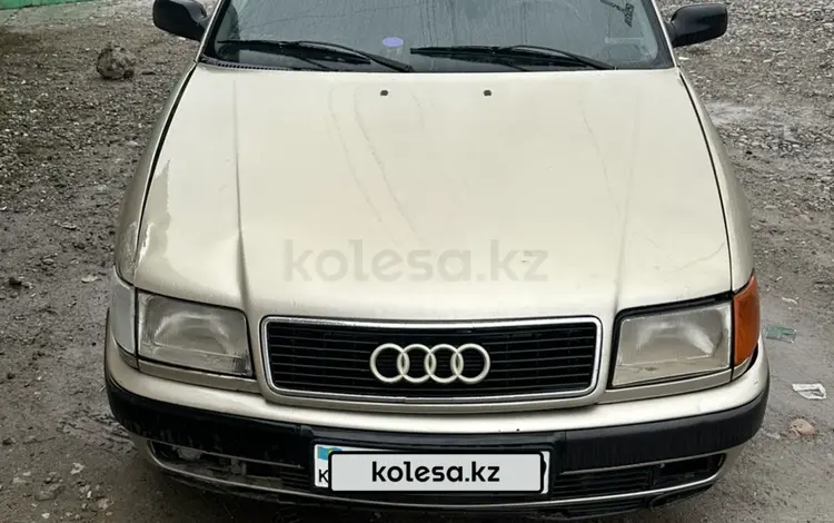 Audi 100 1994 года за 1 350 000 тг. в Жаркент