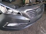 Ноускат Соната LF за 255 880 тг. в Алматы