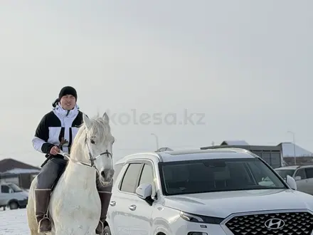 Hyundai Palisade 2021 года за 21 500 000 тг. в Шымкент – фото 12