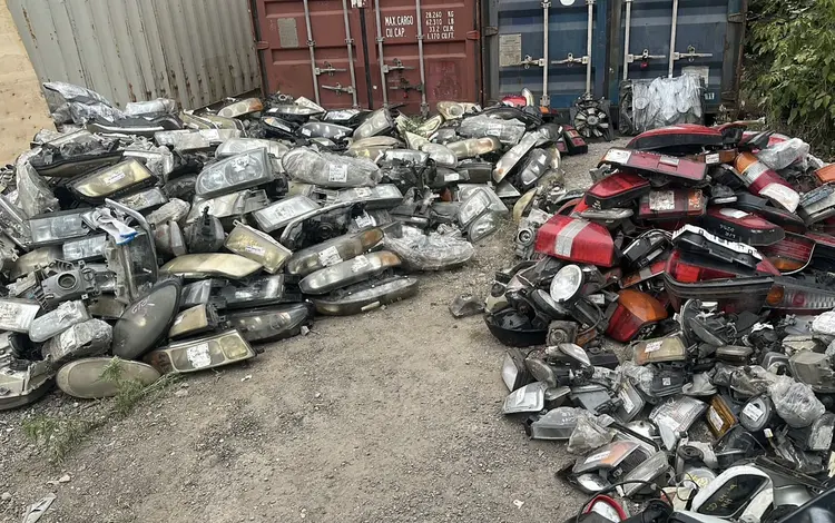 Миниморды передки мордыүшін6 000 тг. в Жезказган