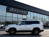 Lexus GX 550 Executive 2025 годаүшін54 499 900 тг. в Шымкент – фото 3