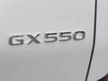 Lexus GX 550 Executive 2025 года за 54 499 900 тг. в Шымкент – фото 26