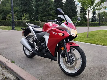 Honda  CBR 250R 2012 года за 1 600 000 тг. в Алматы – фото 2