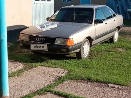 Audi 100 1988 года за 1 250 000 тг. в Кулан – фото 9