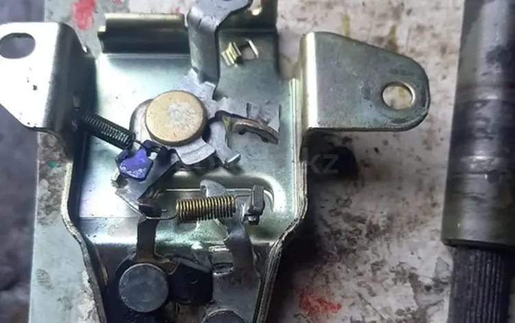Замокүшін100 тг. в Алматы