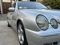 Mercedes-Benz E 240 2001 года за 6 200 000 тг. в Шымкент