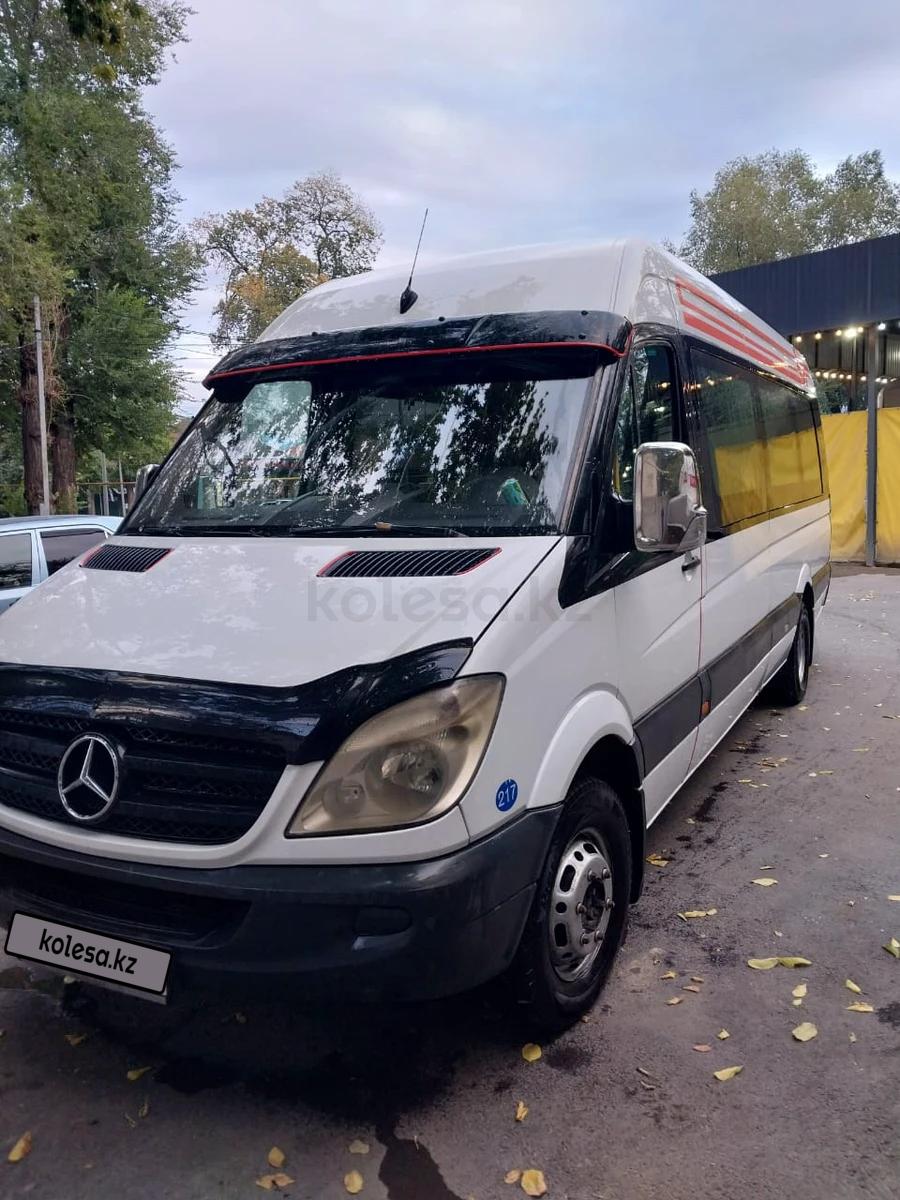 Mercedes-Benz Sprinter 2010 г.