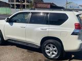 Toyota Land Cruiser Prado 2013 годаүшін14 500 000 тг. в Тараз – фото 3