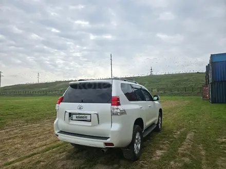 Toyota Land Cruiser Prado 2010 года за 16 000 000 тг. в Шымкент – фото 3