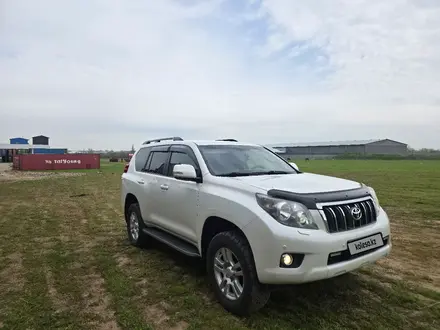 Toyota Land Cruiser Prado 2010 года за 16 000 000 тг. в Шымкент – фото 4