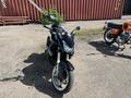Kawasaki  Z 1000 2009 года за 7 000 000 тг. в Караганда – фото 4