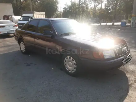 Audi 100 1992 года за 2 500 000 тг. в Шымкент