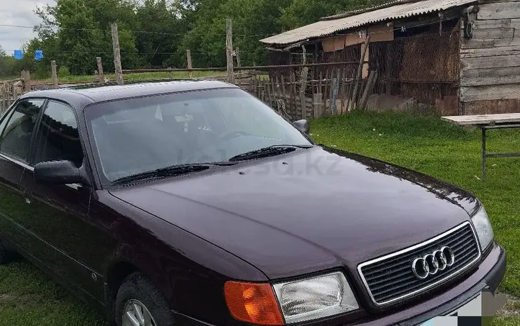 Audi 100 1991 года за 3 350 000 тг. в Талдыкорган