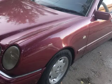 Mercedes-Benz E 240 1998 года за 2 820 000 тг. в Сарыагаш – фото 11