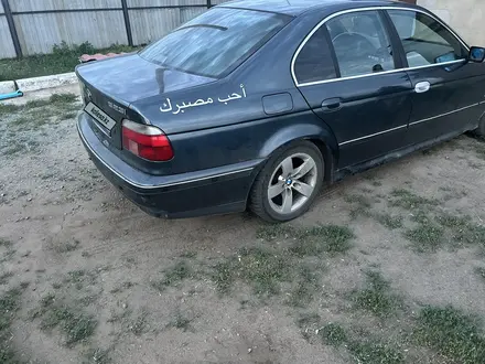 BMW 523 1998 годаүшін1 999 999 тг. в Павлодар – фото 4