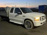 Ford F-Series 2005 года за 7 500 000 тг. в Караганда – фото 3