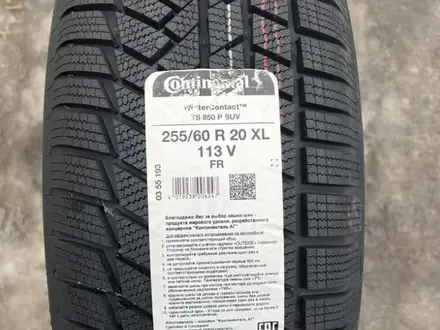 Зимние Continental WinterContact TS 850 P SUV 255/60 R20 XL 113V за 450 000 тг. в Жезказган