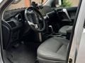 Toyota Land Cruiser Prado 2010 годаүшін13 700 000 тг. в Астана – фото 9