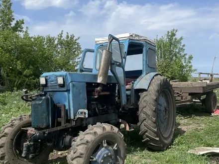 МТЗ (BELARUS) 1985 года за 1 600 000 тг. в Усть-Каменогорск