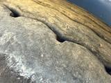 Langendorf  Полуприцеп — самосвал 2019 годаүшін16 000 000 тг. в Кызылорда – фото 5