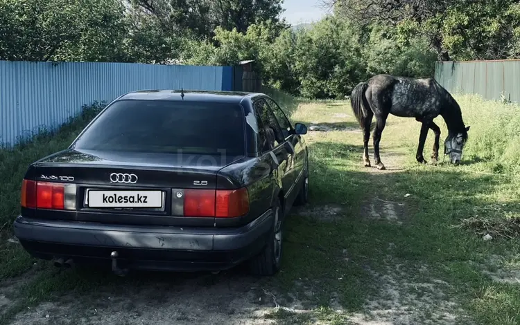 Audi 100 1993 годаүшін2 400 000 тг. в Талдыкорган