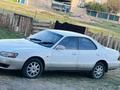 Toyota Windom 1995 годаүшін1 400 000 тг. в Алматы