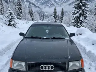 Audi 100, 1993
