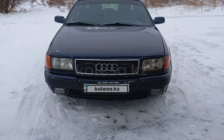 Audi 100 1992 годаүшін1 300 000 тг. в Петропавловск