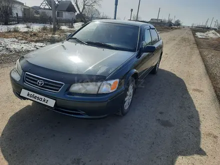 Toyota Camry 2000 года за 3 500 000 тг. в Кокшетау