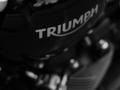 Triumph  Speed Twin 2022 года за 8 100 000 тг. в Алматы – фото 11