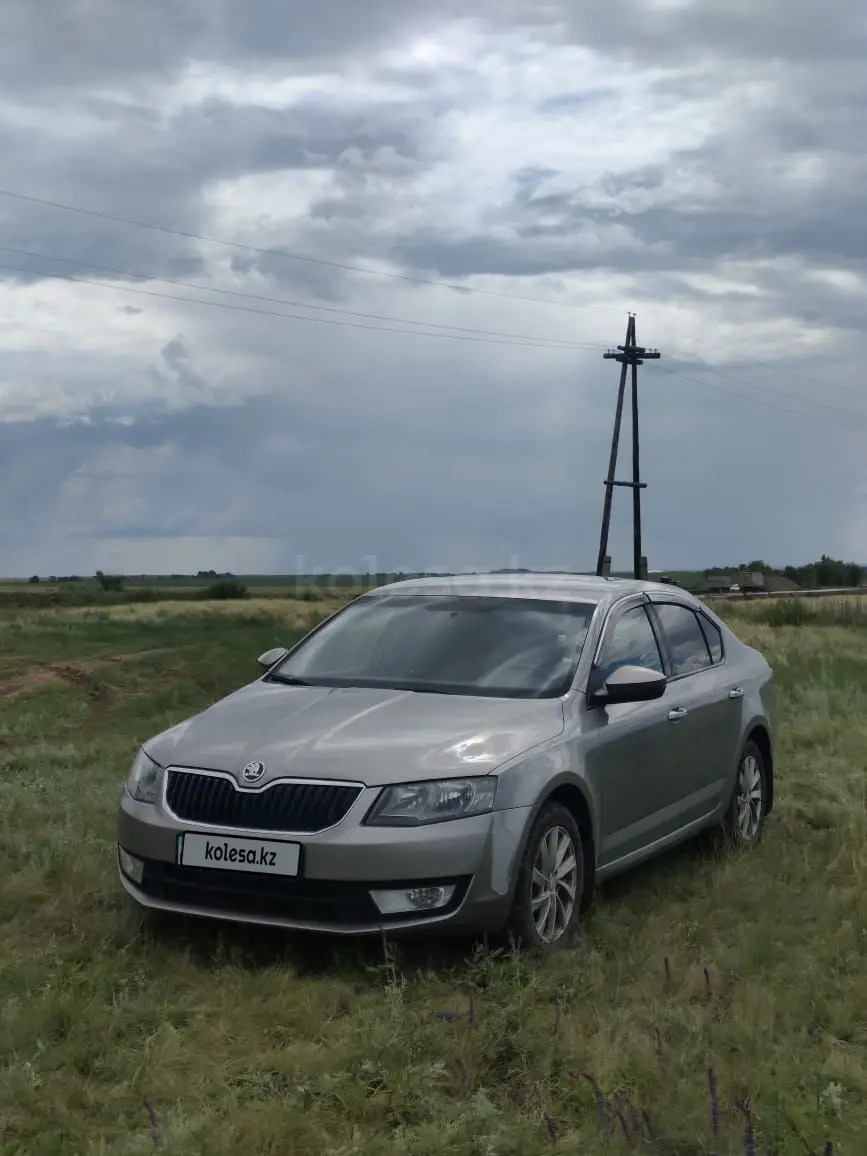 Skoda Octavia, 2013