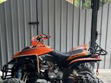 IRBIS  ATV 250S 2013 годаfor570 000 тг. в Алматы – фото 4