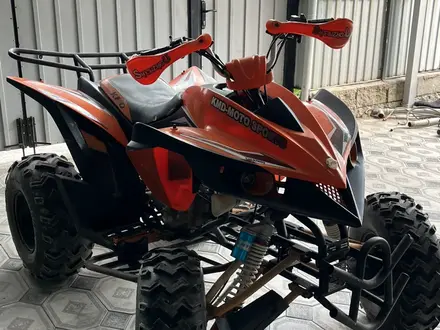 IRBIS  ATV 250S 2013 года за 570 000 тг. в Алматы – фото 6