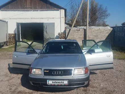 Audi 100 1993 года за 2 600 000 тг. в Мерке – фото 18